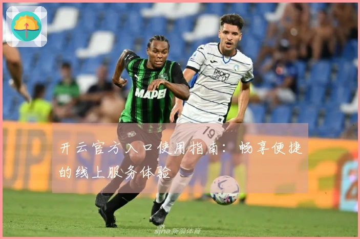 开云官方入口使用指南：畅享便捷的线上服务体验