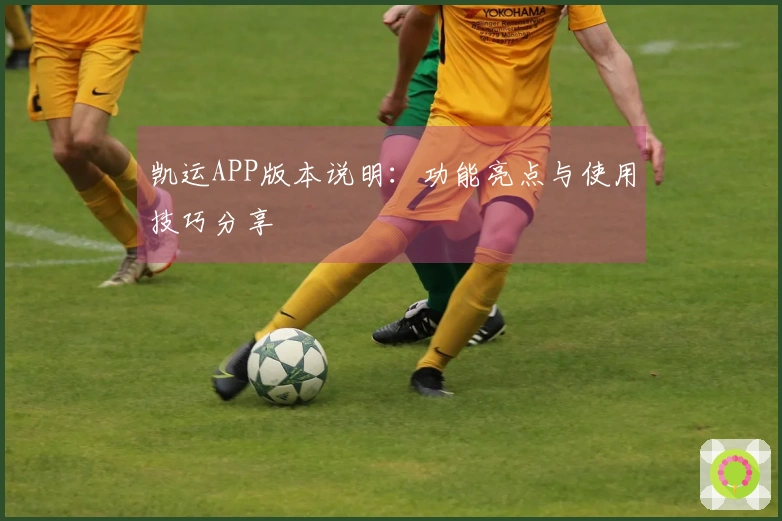 凯运APP版本说明：功能亮点与使用技巧分享